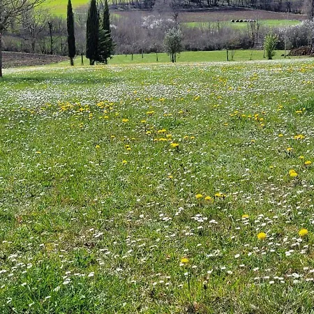 Apartmán Sunny Oasis Salles (Lot-et-Garonne)