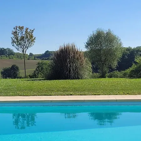 Sunny Oasis